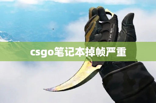 csgo笔记本掉帧严重