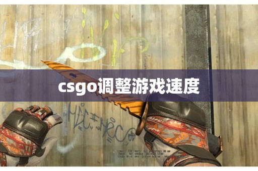 csgo调整游戏速度