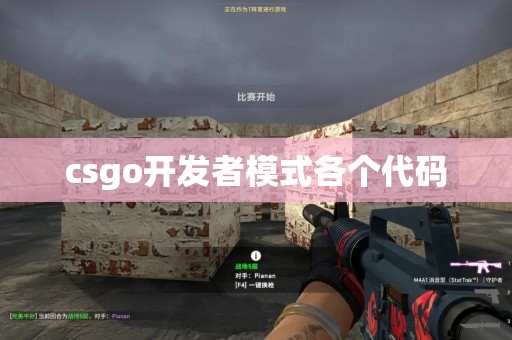 csgo开发者模式各个代码