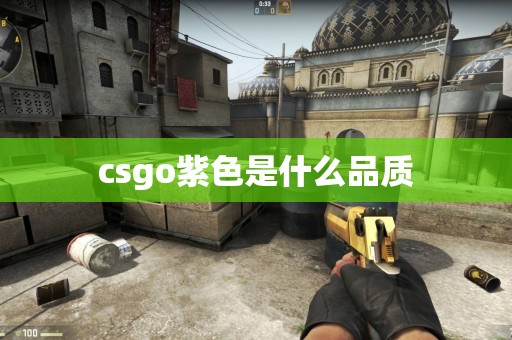 csgo紫色是什么品质