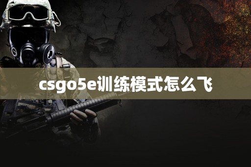 csgo5e训练模式怎么飞