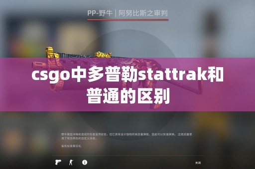 csgo中多普勒stattrak和普通的区别