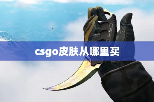 csgo皮肤从哪里买