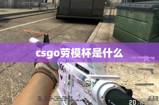 csgo劳模杯是什么