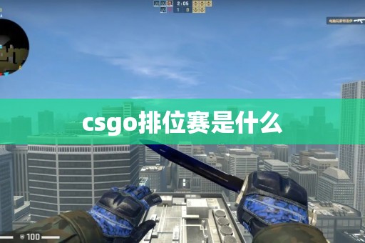 csgo排位赛是什么