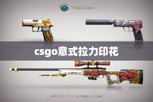 csgo意式拉力印花