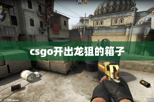 csgo开出龙狙的箱子