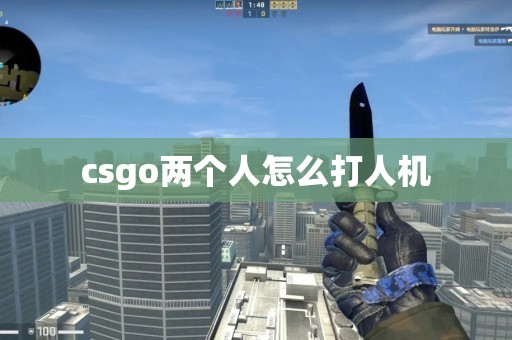 csgo两个人怎么打人机