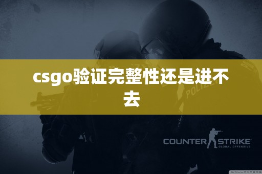 csgo验证完整性还是进不去