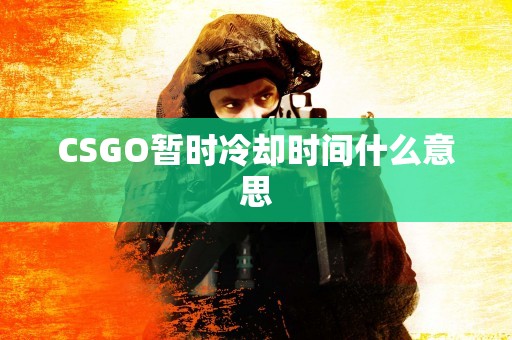 CSGO暂时冷却时间什么意思