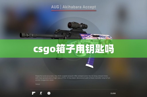 csgo箱子用钥匙吗