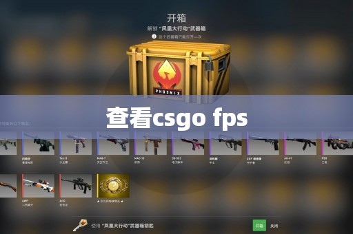 查看csgo fps