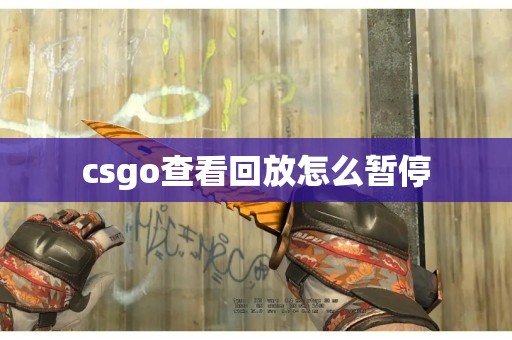 csgo查看回放怎么暂停