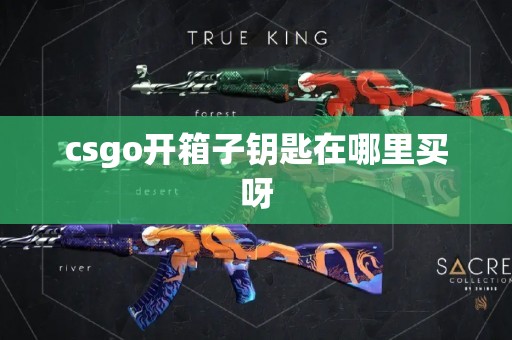 csgo开箱子钥匙在哪里买呀