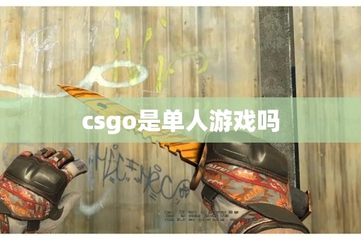 csgo是单人游戏吗