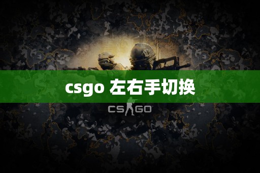 csgo 左右手切换