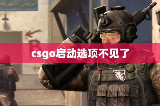 csgo启动选项不见了