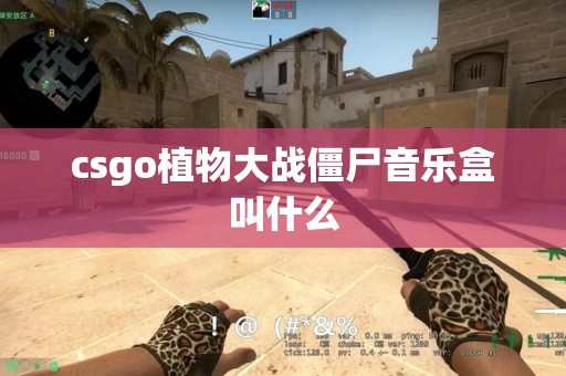 csgo植物大战僵尸音乐盒叫什么