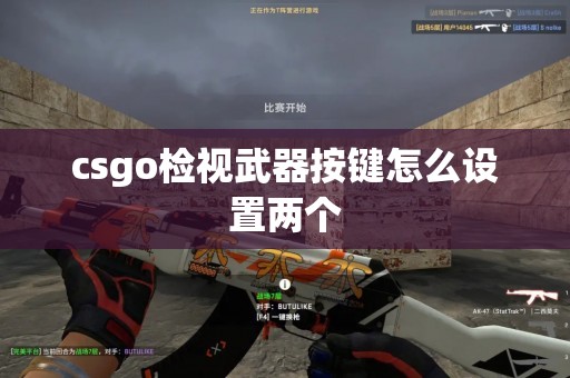 csgo检视武器按键怎么设置两个