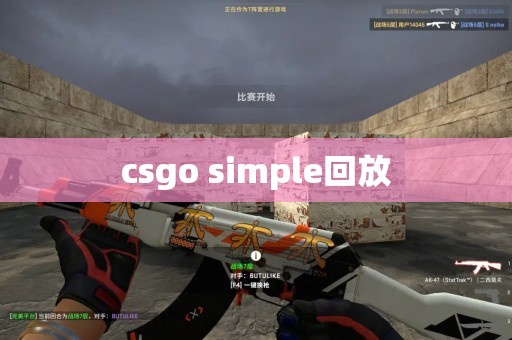 csgo simple回放