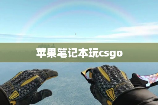 苹果笔记本玩csgo