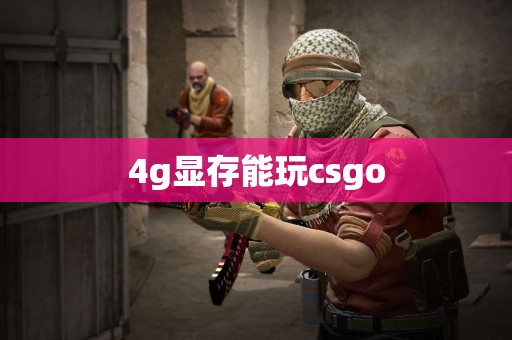 4g显存能玩csgo