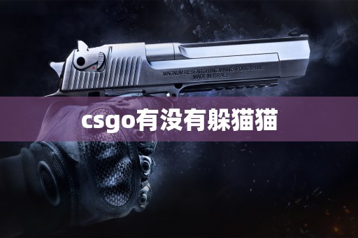 csgo有没有躲猫猫