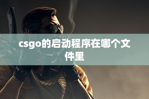 csgo的启动程序在哪个文件里