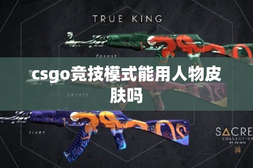 csgo竞技模式能用人物皮肤吗