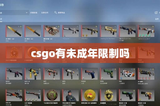 csgo有未成年限制吗