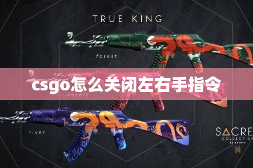 csgo怎么关闭左右手指令