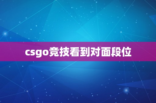 csgo竞技看到对面段位