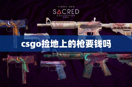 csgo捡地上的枪要钱吗