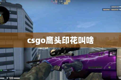 csgo鹰头印花叫啥