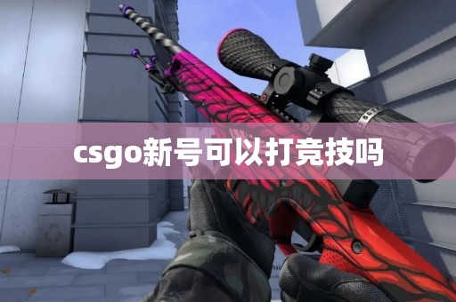 csgo新号可以打竞技吗