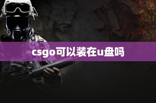 csgo可以装在u盘吗