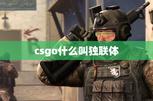 csgo什么叫独联体