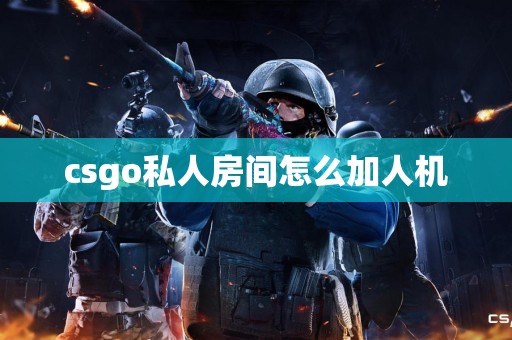 csgo私人房间怎么加人机