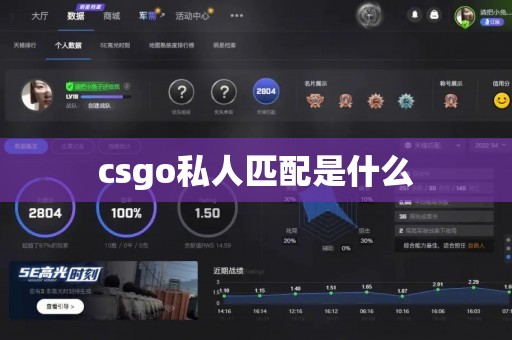 csgo私人匹配是什么