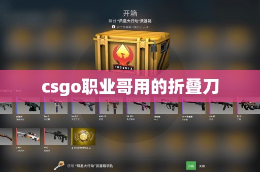 csgo职业哥用的折叠刀