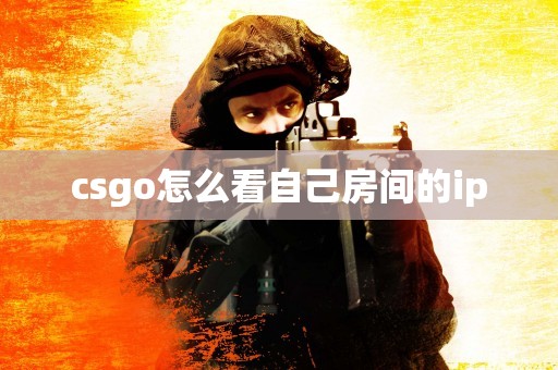 csgo怎么看自己房间的ip