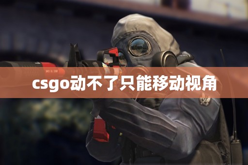 csgo动不了只能移动视角