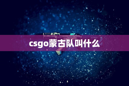 csgo蒙古队叫什么