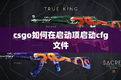 csgo如何在启动项启动cfg文件