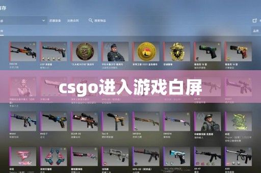 csgo进入游戏白屏