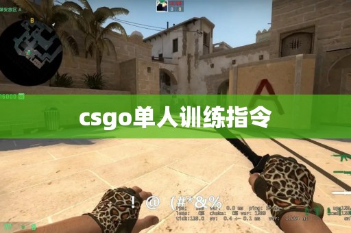 csgo单人训练指令