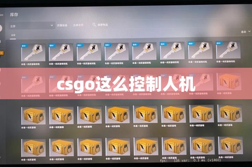 csgo这么控制人机