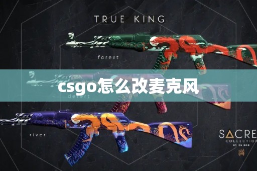 csgo怎么改麦克风