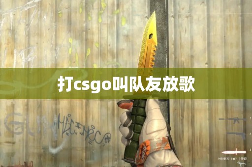 打csgo叫队友放歌