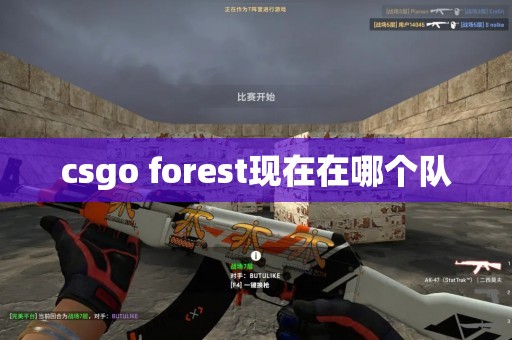 csgo forest现在在哪个队